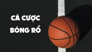 Khám Phá Cá Cược Bóng Rổ C54: Tổng Quan Hấp Dẫn Cho Người Mới