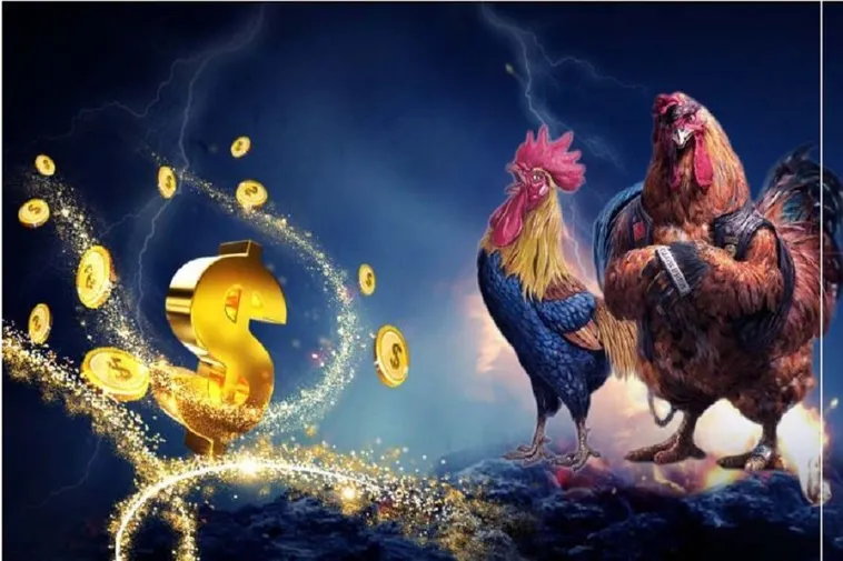 Khám Phá Đá Gà C54: Đánh Giá Chuyên Nghiệp Về Trải Nghiệm Cá Cược 1 Khám Phá Đá Gà C54: Đánh Giá Chuyên Nghiệp Về Trải Nghiệm Cá Cược