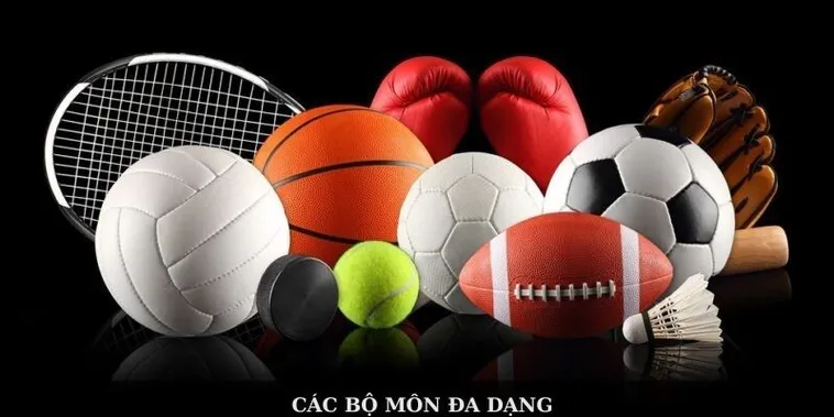 Thể Thao C54: Khám Phá Thế Giới Giải Trí Đỉnh Cao Cùng Đam Mê 1 Thể Thao C54: Khám Phá Thế Giới Giải Trí Đỉnh Cao Cùng Đam Mê