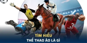 Khám Phá Cá Cược Thể Thao Ảo C54: Tổng Quan Đầy Thú Vị