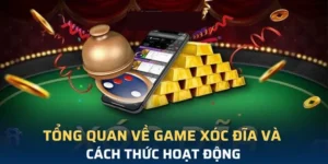 Khám Phá Trò Chơi Xóc Đĩa Tại C54: Đánh Giá Chuyên Nghiệp Và Chi Tiết